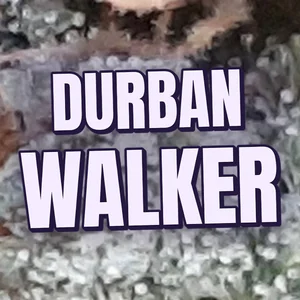 Durban Walker Cannabis Strain