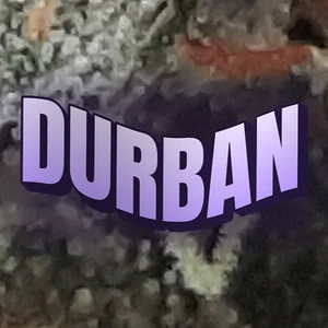 Durban Cannabis Strain