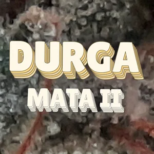 Durga Mata II Cannabis Strain