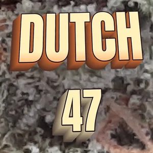 Dutch 47 Cannabis Strain
