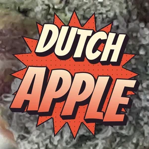 Dutch Apple Cannabis Strain