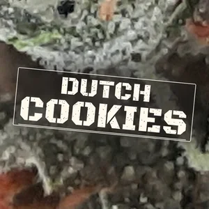Dutch Cookies Cannabis Strain