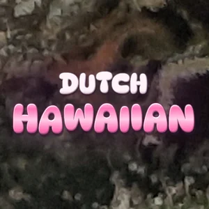 Dutch Hawaiian Cannabis Strain