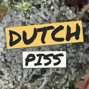 Dutch Piss Cannabis Strain