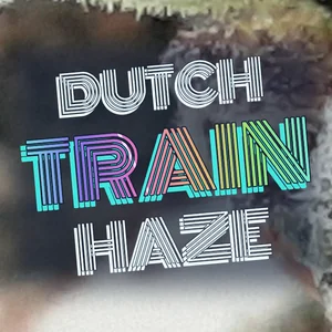Dutch Train Haze Cannabis Strain