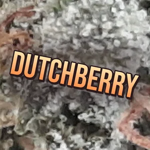Dutchberry Cannabis Strain