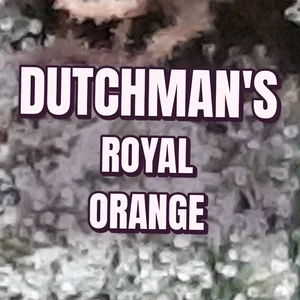 Dutchman's Royal Orange Cannabis Strain