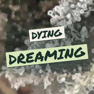 Dying Dreaming Cannabis Strain