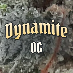 Dynamite OG Cannabis Strain