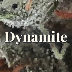 Dynamite Cannabis Strain