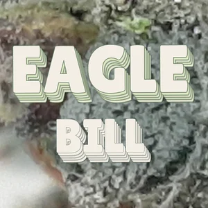 Eagle Bill Cannabis Strain