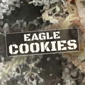 Eagle Cookies Cannabis Strain