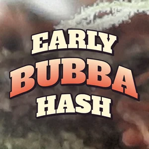 Early Bubba Hash Cannabis Strain