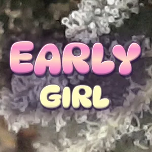 Early Girl Cannabis Strain