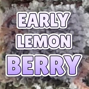 Early Lemon Berry Cannabis Strain