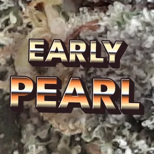Early Pearl Cannabis Strain