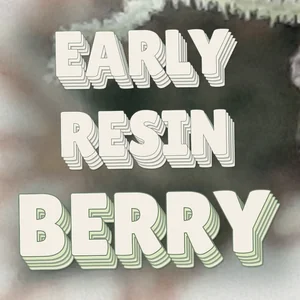 Early Resin Berry Cannabis Strain