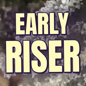 Early Riser Cannabis Strain