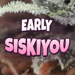Early Siskiyou Cannabis Strain
