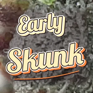 Early Skunk Cannabis Strain