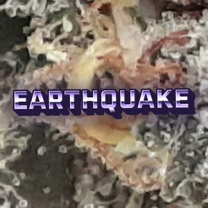 Earthquake Cannabis Strain