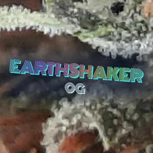 Earthshaker OG Cannabis Strain