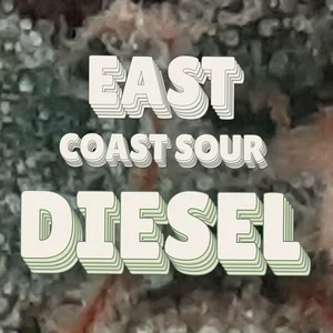 East Coast Sour Diesel Cannabis Strain