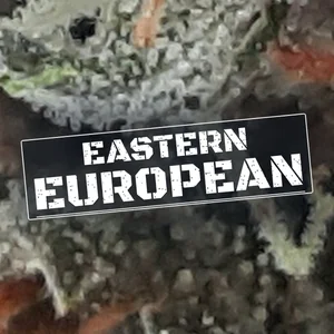 Eastern European Cannabis Strain