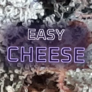 Easy Cheese Cannabis Strain