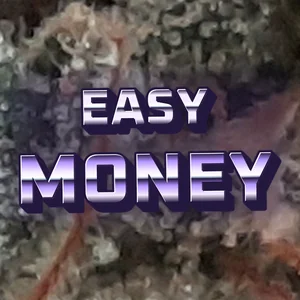 Easy Money Cannabis Strain
