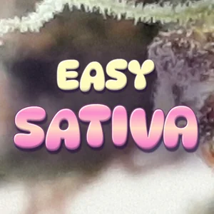 Easy Sativa Cannabis Strain