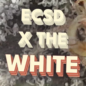 ECSD x The White Cannabis Strain