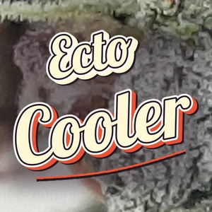 Ecto Cooler Cannabis Strain