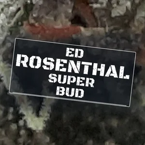 Ed Rosenthal Super Bud Cannabis Strain