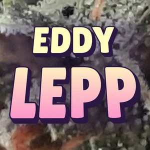 Eddy Lepp Cannabis Strain