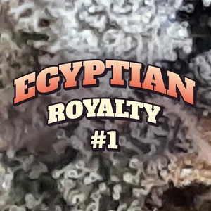 Egyptian Royalty #1 Cannabis Strain
