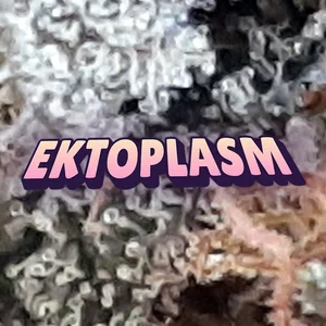 Ektoplasm Cannabis Strain