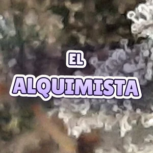 El Alquimista Cannabis Strain