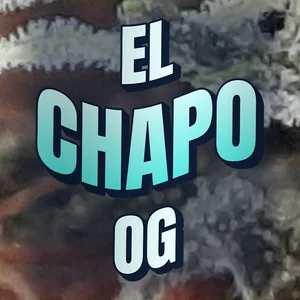 El Chapo OG Cannabis Strain