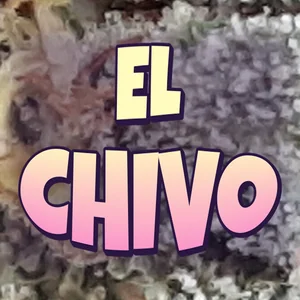 El Chivo Cannabis Strain
