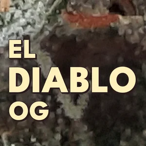 El Diablo OG Cannabis Strain
