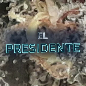 El Presidente Cannabis Strain