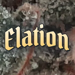Elation Cannabis Strain