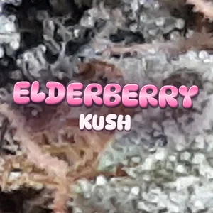 Elderberry Kush Cannabis Strain