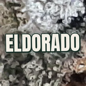 Eldorado Cannabis Strain