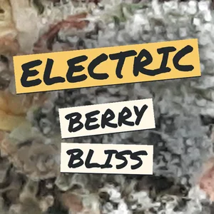 Electric Berry Bliss Cannabis Strain