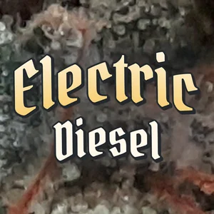 Electric Diesel Cannabis Strain