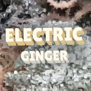 Electric Ginger Cannabis Strain
