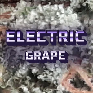 Electric Grape Cannabis Strain