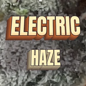 Electric Haze Cannabis Strain